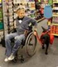 Woman who uses a wheelchair with a service dog.